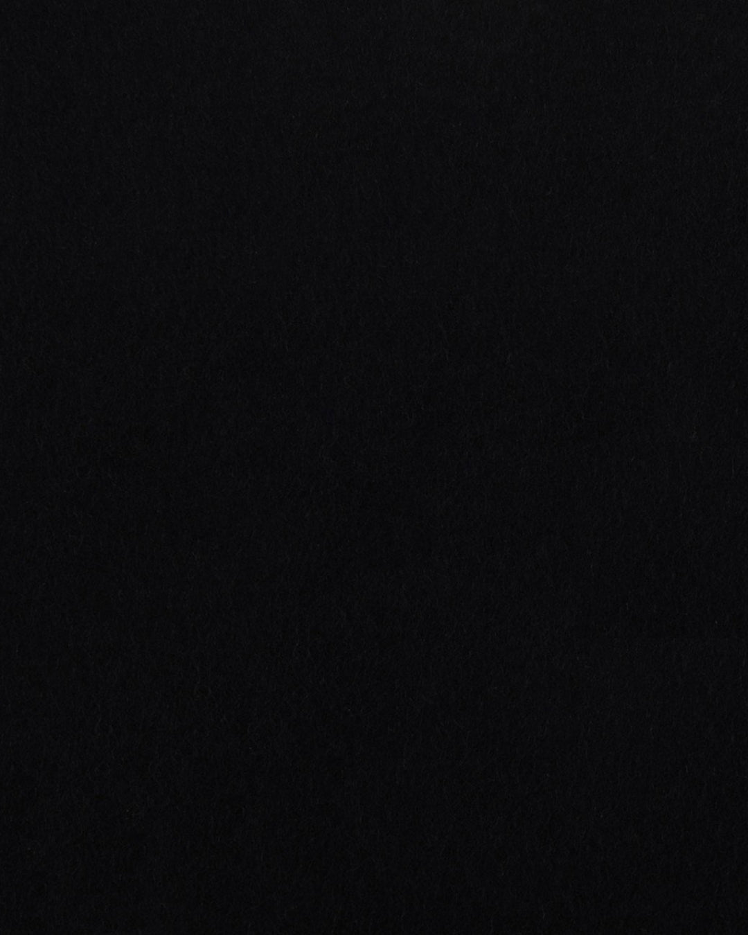 EZS Black Wool Heavy Flannel Pant