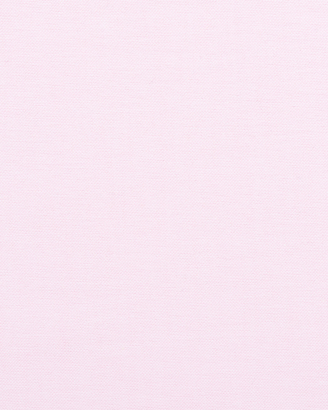 Pale Pink Oxford