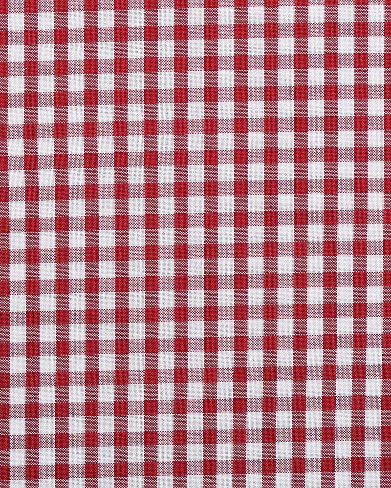 Red Mini Gingham