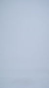 Leinen-Baumwoll-Canvas: Cremefarbene Hose