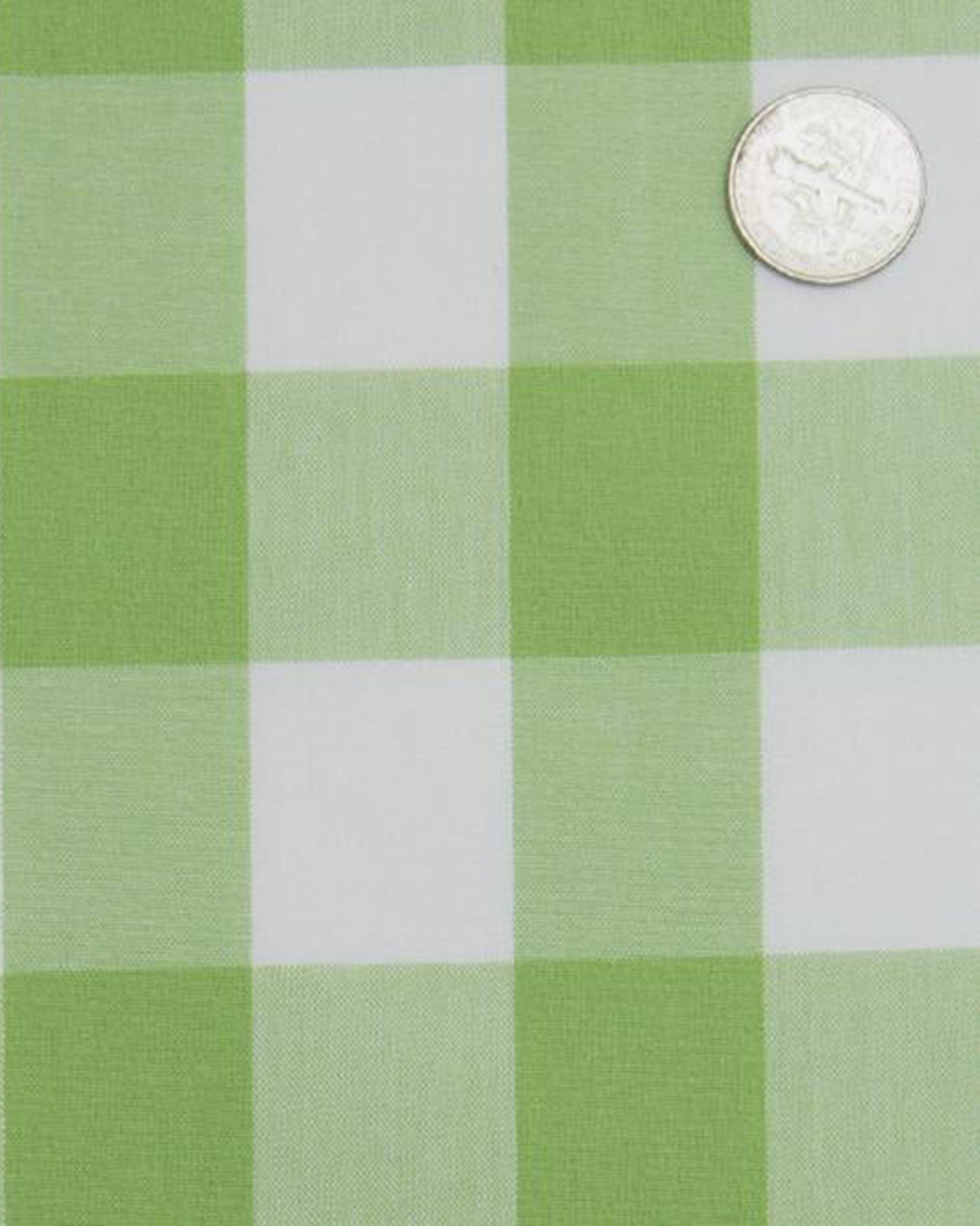 Light Apple Green Windowpane Checks Shirt