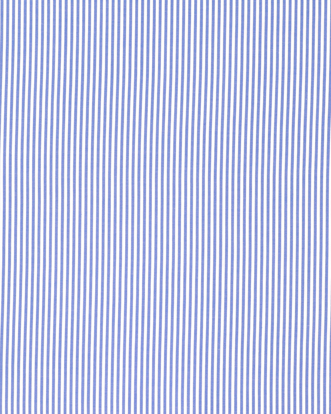 Royal Blue University Stripes
